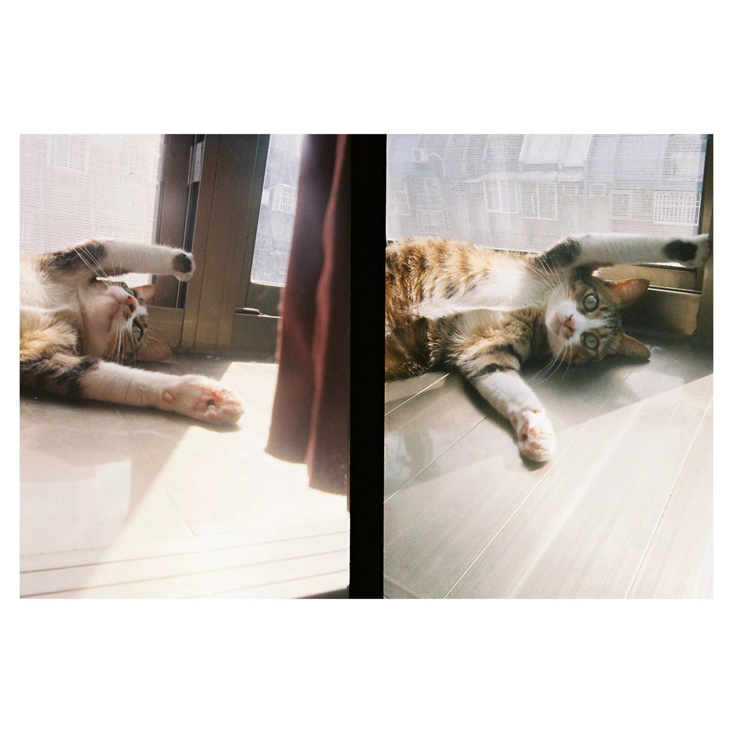 2024 New KODAK EKTAR H35 Half Frame Camera 35Mm Film Camera Reusable Film Camera with Flash Film Camera Optional Film